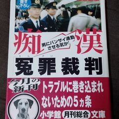痴漢冤罪裁判 男にバンザイ通勤させる気か！ 池上正樹