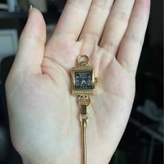 新品未使用！Hamilton レディース腕時計/ネックレスの画像