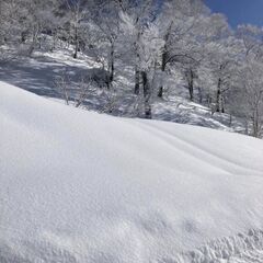 スキー・スノボ「【24-25シーズン】ゆったり平日ゲレンデいこう」
