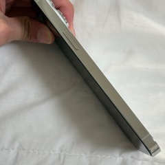 ほぼ新品　iPhone 14 Pro Max 512GB シルバーの画像