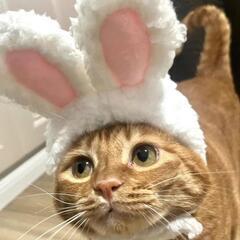 夜職ドレス福袋