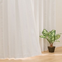 カーテン【新品未使用】ニトリ