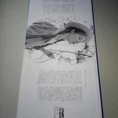 レーザーディスク８　赤毛のアンの画像