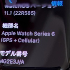 Apple Watch Series 6（GPS + Cellu...