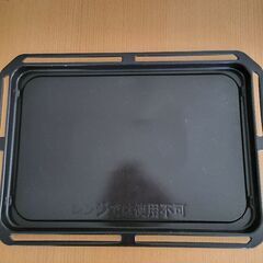 石窯ドームER-PD3000の画像