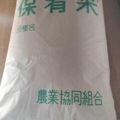 令和６年度産　栃木のコシヒカリ　玄米