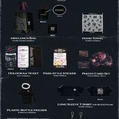 StrayKids アプグレ　グッズの画像