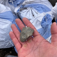 【0円】残土さしあげます の画像