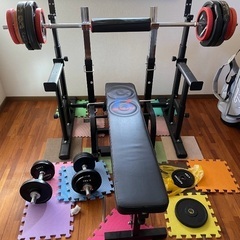 【緊急値下げ！】千葉県発 プレート計70kg ファイティングロー...