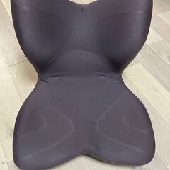 Style PREMIUM ブラウン 姿勢ケアシート