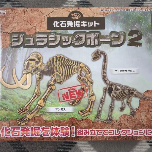 化石発掘キット新品