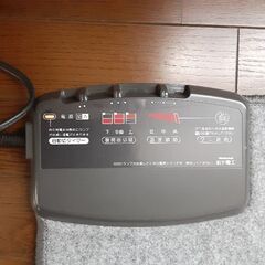 National電気カーペット　温度調節　暖房面切り替え　ダニ退治　自動切りタイマー付きの画像
