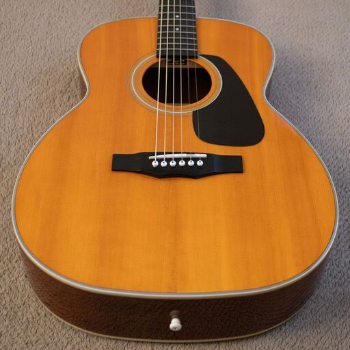 MORRIS MY-F 2020年 単板トップコンパクト極美品 ☆MORRIS MY-F 2020年 単板トップコンパクト 豪華ケース (MARO'S