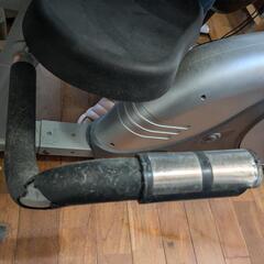 Daikou 背もたれ付きフィットネスバイクの画像