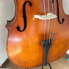 チェロを習っている仲間たちとお話ししましょう