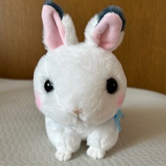 雪うさぎのゆっきーです