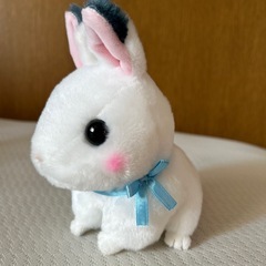 雪うさぎのゆっきーですの画像