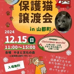 🎄クリスマス譲渡会in山都町🎄