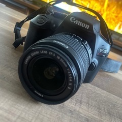 Canon EOSkiss x80
 