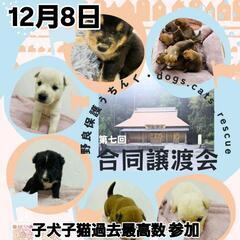 本日13時より！道の駅どなり