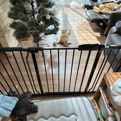 スーパーウィニングJPジャックポット