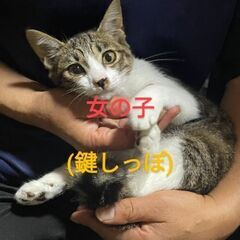 甘えん坊の女の子(,,> <,,)