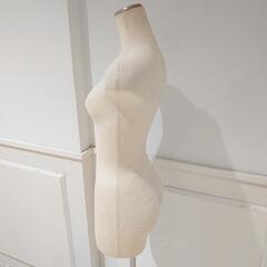 白ボディ　トルソーの画像