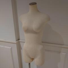 白ボディ　トルソーの画像