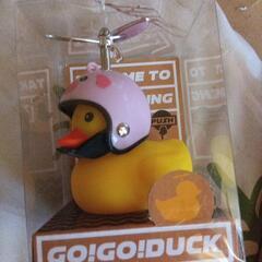 GO！GO！DUCKの画像