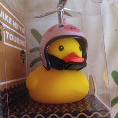 GO！GO！DUCK