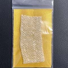 白蛇　抜け殻　脱皮