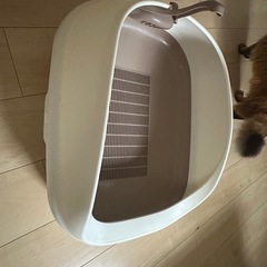 猫のトイレの画像