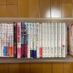 中古コミック　ホリデイラブ　37.5°cの涙　恋する母たち　砂時...