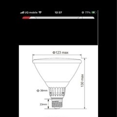電球の画像