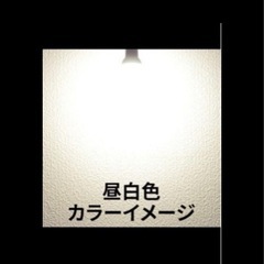電球の画像
