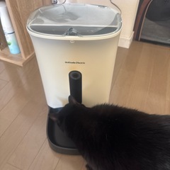 ペット（ニャン）自動給餌器　スマホ連動　の画像