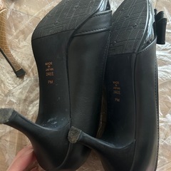 ダイアナパンプスの画像