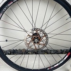 IRON HORSE azure expert ジャンク
の画像