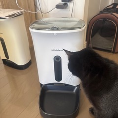 ペット（ニャンコ）自動給餌器手動の画像