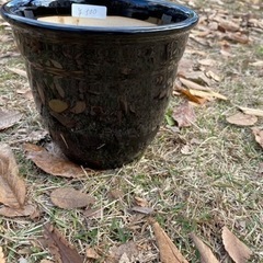 黒植木鉢② 生活雑貨 家庭用品 ガーデニング