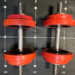 アイロテック　ダンベル　20キロ