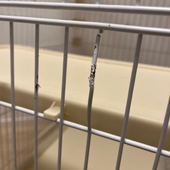 猫　ケージの画像