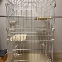 猫　ケージの画像
