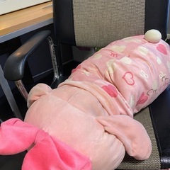 マイメロぬいぐるみ⑤の画像