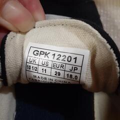 GAP 18cmの画像