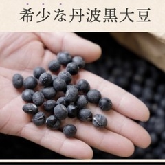 丹羽黒大豆300g (大粒　中粒)数量限定⭐️