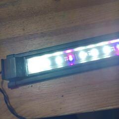 水槽　LEDライト　60センチの画像