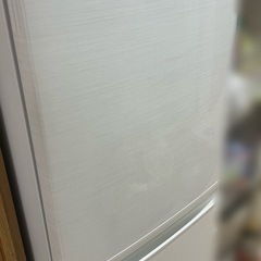 SHARP  冷蔵庫