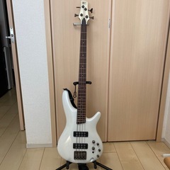 アイバニーズ  ベース 初心者セット
