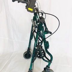 イーストアイ セーフティアーム ロレータ RSAⅡ-G 歩行車の画像